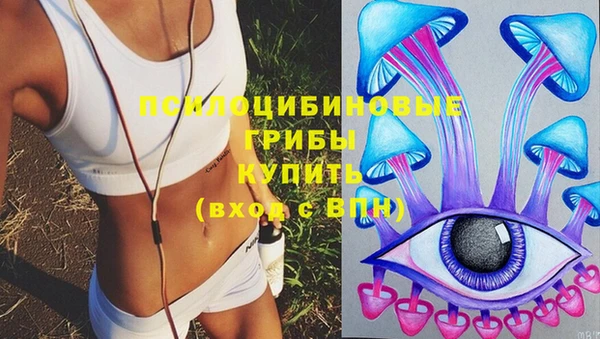 мяу мяу мука Мегион
