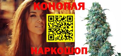 гашик Заводоуковск