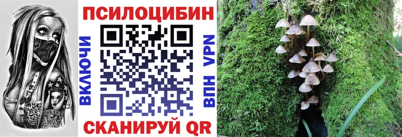 Псилоцибиновые грибы GOLDEN TEACHER Заинск