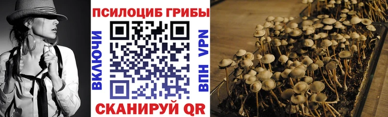 цены наркотик  ссылка на мегу ссылка  Галлюциногенные грибы Magic Shrooms  Заинск 