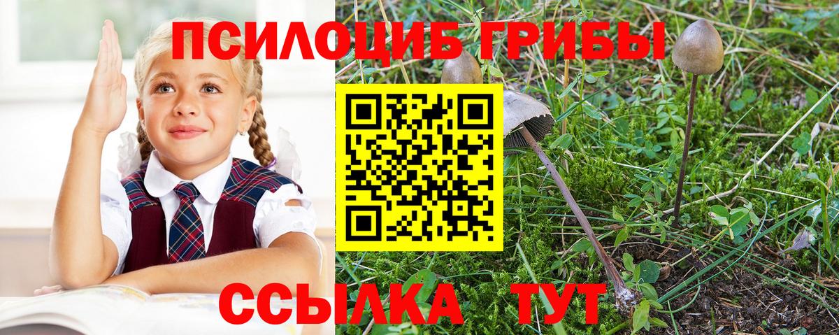 Галлюциногенные грибы мухоморы Заинск