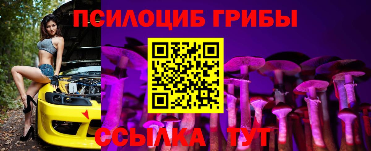 Заинск  Псилоцибиновые грибы ЛСД  Вход с VPN  Галлюциногенные грибы прущие грибы 
